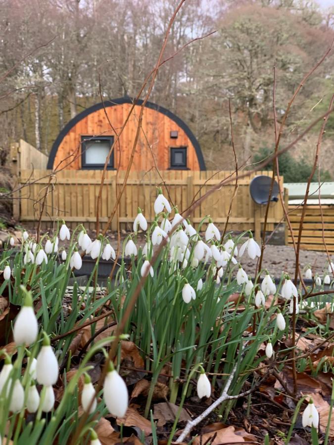 Loch Ness Woodland Pods Drumnadrochit Exterior foto