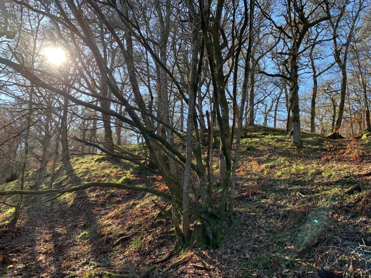 Loch Ness Woodland Pods Drumnadrochit Exterior foto